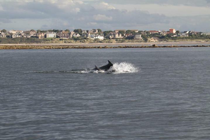 Firthview Cottage Lossiemouth Luaran gambar